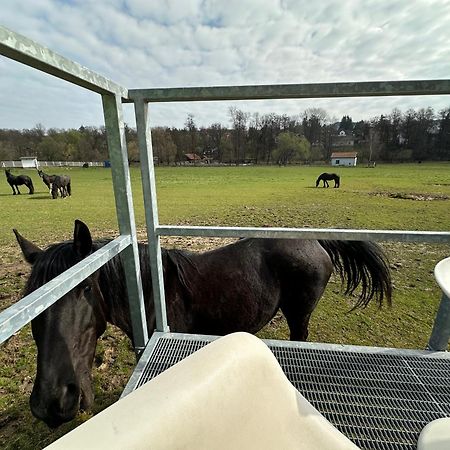Glamping - Stylova Maringotka V Srdci Ladova Kraje, Pobliz Hlavniho Mesta Prahy Stribrna Skalice Extérieur photo