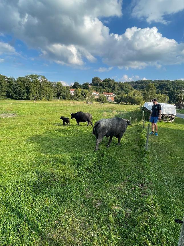 Glamping - Stylova Maringotka V Srdci Ladova Kraje, Pobliz Hlavniho Mesta Prahy Stribrna Skalice Extérieur photo