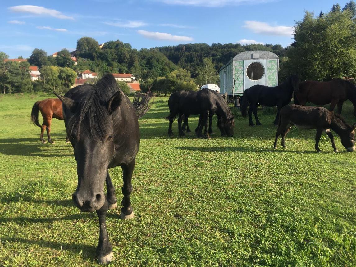 Glamping - Stylova Maringotka V Srdci Ladova Kraje, Pobliz Hlavniho Mesta Prahy Stribrna Skalice Extérieur photo