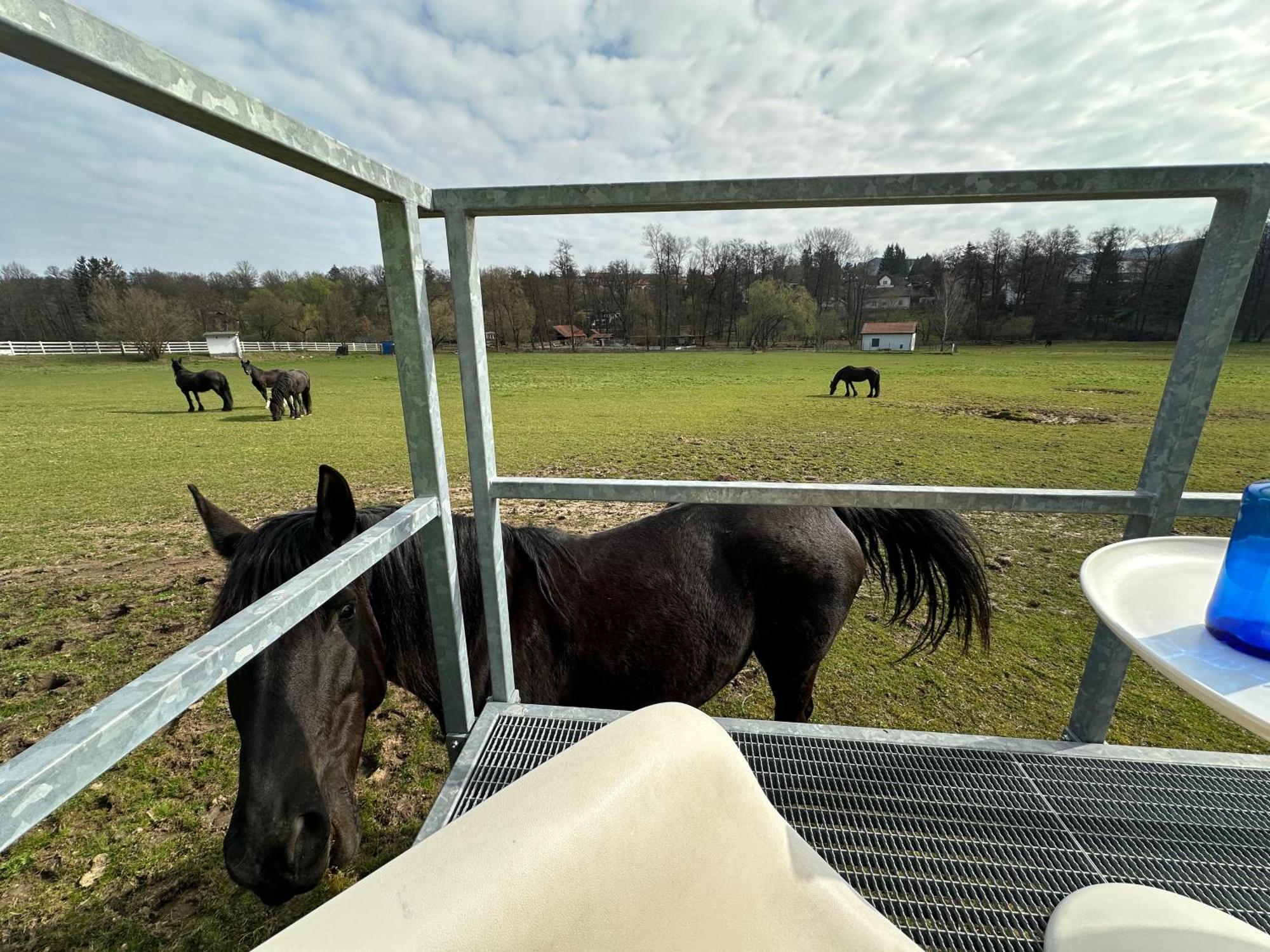 Glamping - Stylova Maringotka V Srdci Ladova Kraje, Pobliz Hlavniho Mesta Prahy Stribrna Skalice Extérieur photo